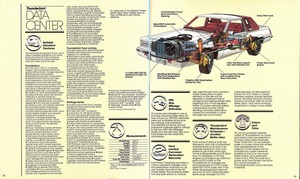 1981 Ford Thunderbird-12-13.jpg